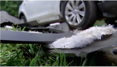 A pack of wild dogs damaged a family’s SUV in Bellaire.