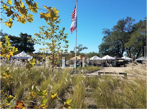 Market in the Park