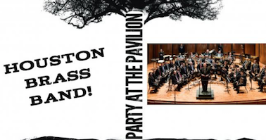 Party at the Pavilion