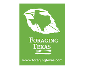 Adult Workshop: Foraging for Edible Wild Plants