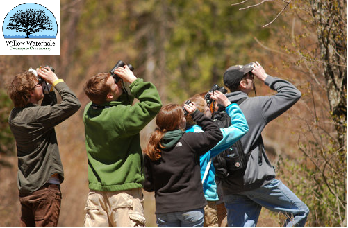 Willow Waterhole Bird Survey