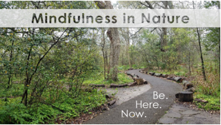 Mindfulness in Nature