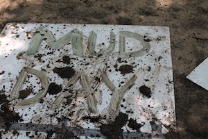 Mud Day Celebration