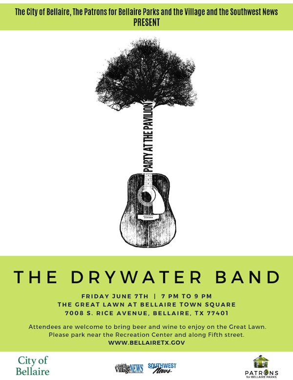 Party at the Pavilion Flyer