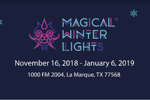 Magical Winter Lights