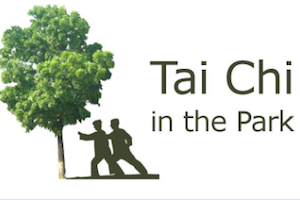 tai chi in the park