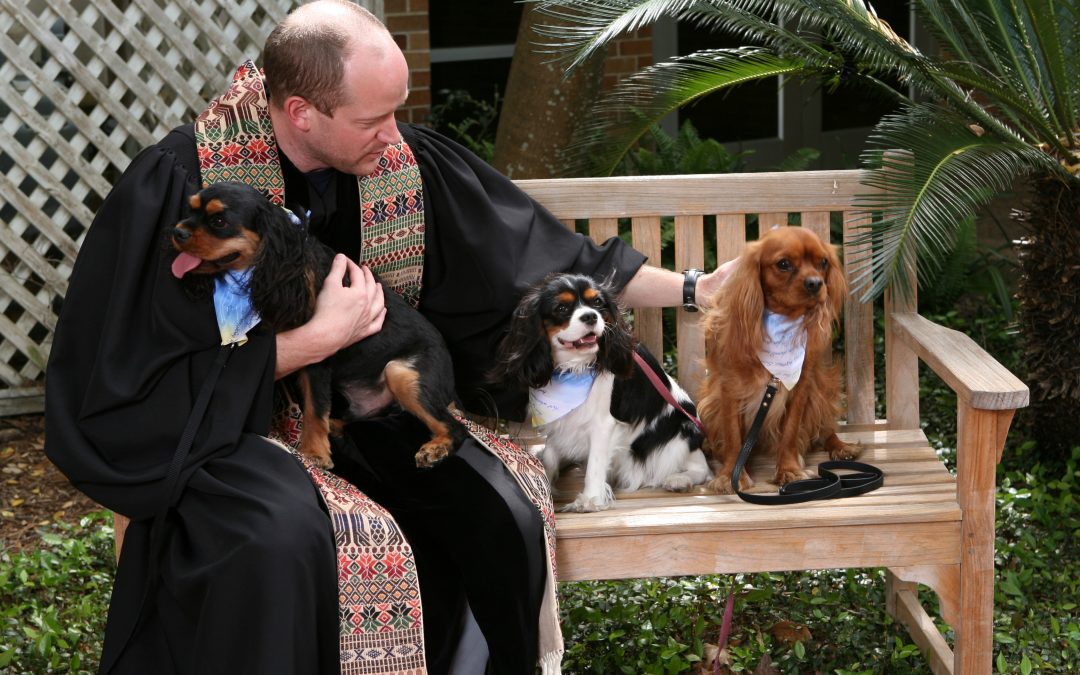 Blessing of the Animals at Bellaire United Methodist Church