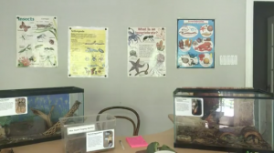 Nature Discovery Center offers virtual experiences during COVID closure.