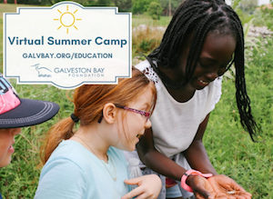 Galveston Bay Foundation Camp at Home