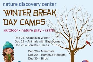 NDC Winter Break Camps