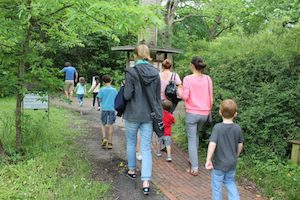 Walk on the Wild Side