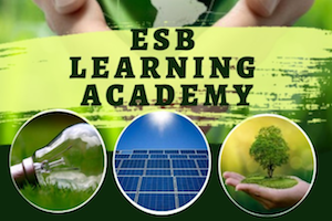 ESB Learning Academy