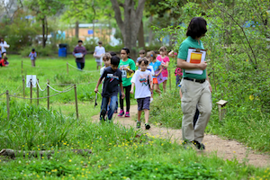 NDC Summer Science Camps