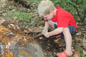 Summer Science Mini-Camps