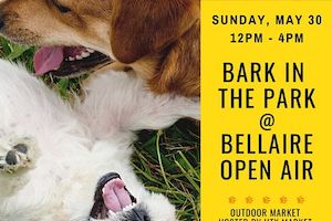 Bark in the Park