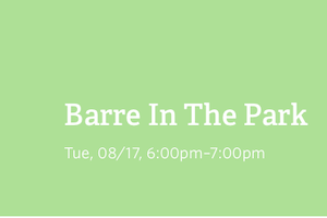 Barre In The Park