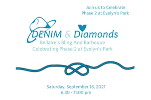 Denim & Diamonds Gala