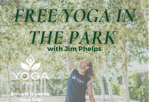 Yoga in the Park