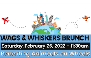 wags and whiskers brunch