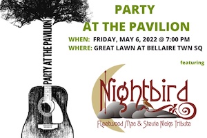 Party At The Pavillion