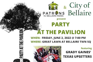 party at pavilion