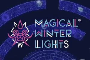 magical wihnter lights