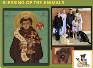 St. Vincent de Paul Catholic Church Blessing of the Animals