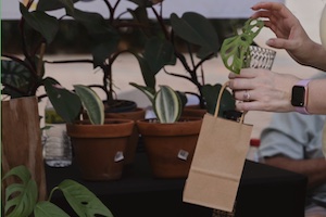 PlantCon