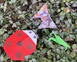 Origami at Evelyn's Park