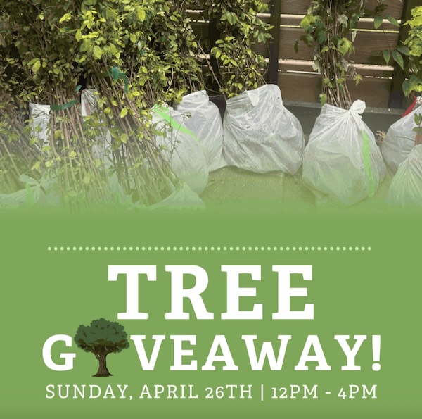 Tree Giveaway at Evelyn's Park