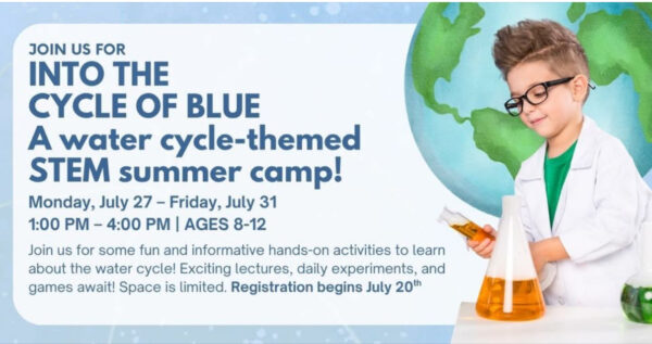 Bellaire Library summer camp