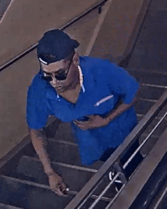car suspect 4